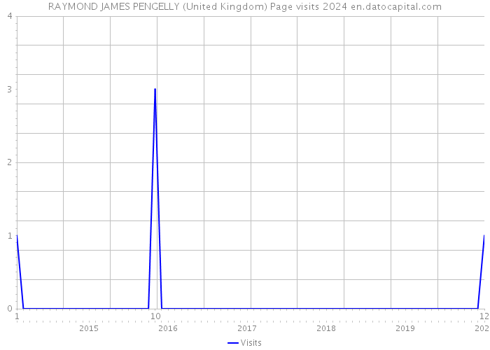 RAYMOND JAMES PENGELLY (United Kingdom) Page visits 2024 