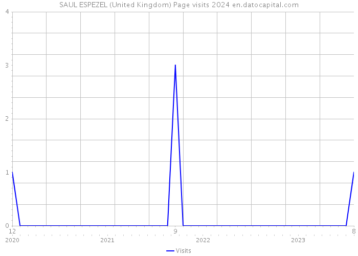 SAUL ESPEZEL (United Kingdom) Page visits 2024 