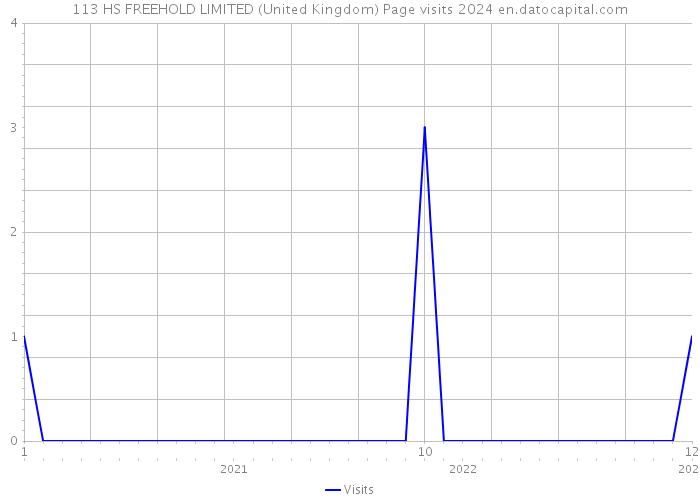 113 HS FREEHOLD LIMITED (United Kingdom) Page visits 2024 
