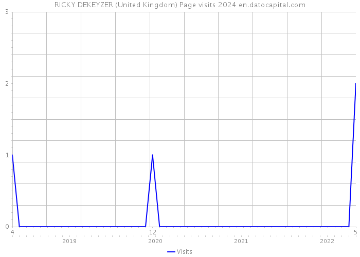 RICKY DEKEYZER (United Kingdom) Page visits 2024 