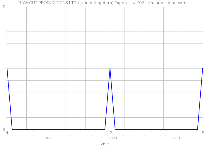 RAW CUT PRODUCTIONS LTD (United Kingdom) Page visits 2024 