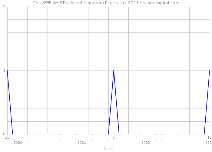 TANVEER WASTI (United Kingdom) Page visits 2024 