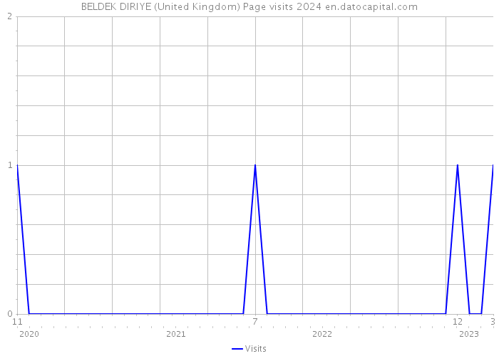 BELDEK DIRIYE (United Kingdom) Page visits 2024 