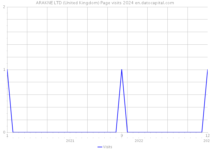 ARAKNE LTD (United Kingdom) Page visits 2024 