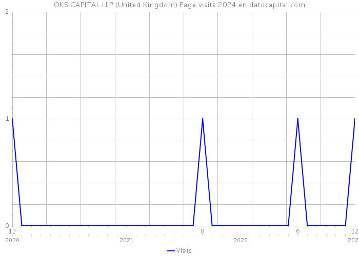 OKS CAPITAL LLP (United Kingdom) Page visits 2024 