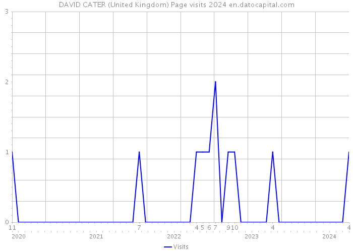 DAVID CATER (United Kingdom) Page visits 2024 