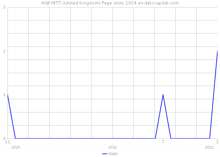 ANJI HITT (United Kingdom) Page visits 2024 