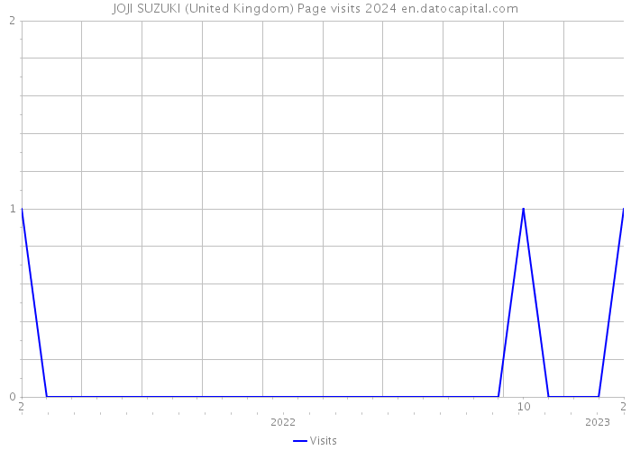 JOJI SUZUKI (United Kingdom) Page visits 2024 