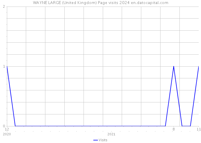 WAYNE LARGE (United Kingdom) Page visits 2024 