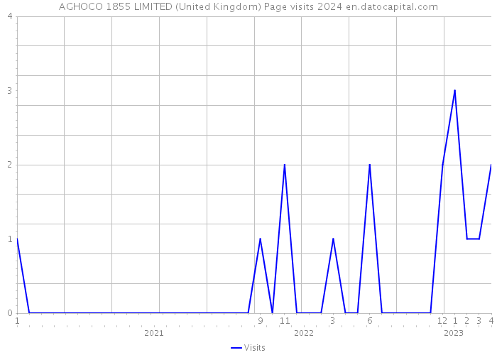 AGHOCO 1855 LIMITED (United Kingdom) Page visits 2024 