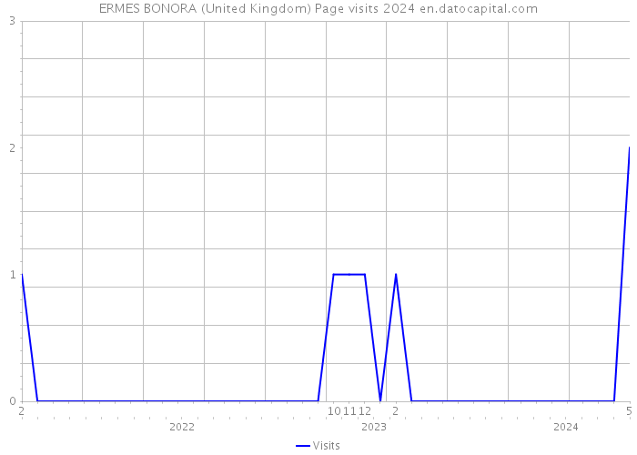 ERMES BONORA (United Kingdom) Page visits 2024 