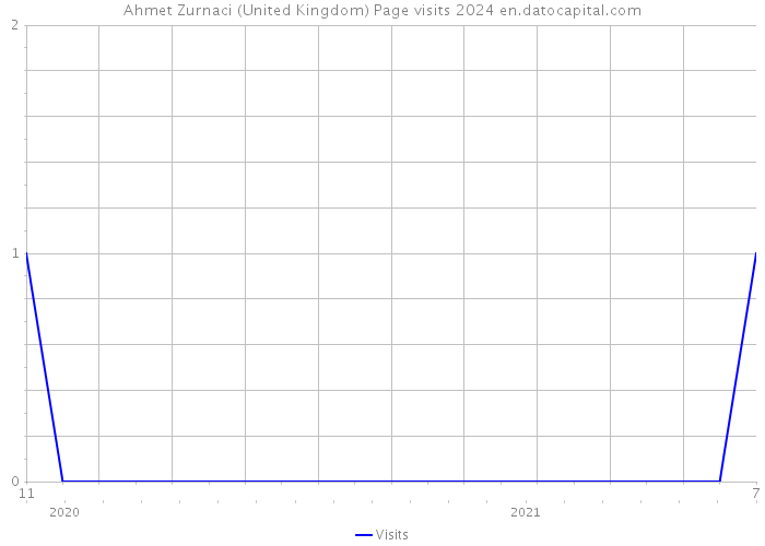 Ahmet Zurnaci (United Kingdom) Page visits 2024 