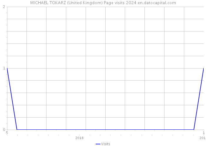 MICHAEL TOKARZ (United Kingdom) Page visits 2024 