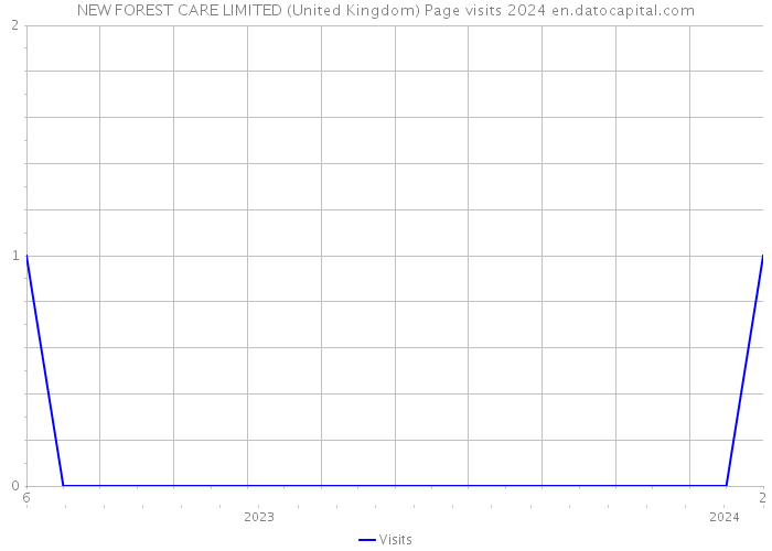 NEW FOREST CARE LIMITED (United Kingdom) Page visits 2024 
