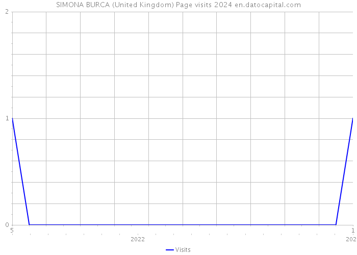 SIMONA BURCA (United Kingdom) Page visits 2024 