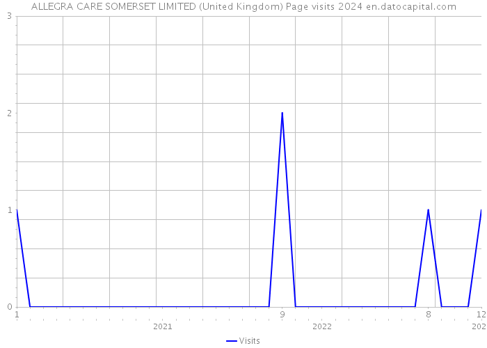 ALLEGRA CARE SOMERSET LIMITED (United Kingdom) Page visits 2024 