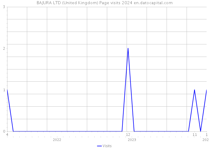BAJURA LTD (United Kingdom) Page visits 2024 