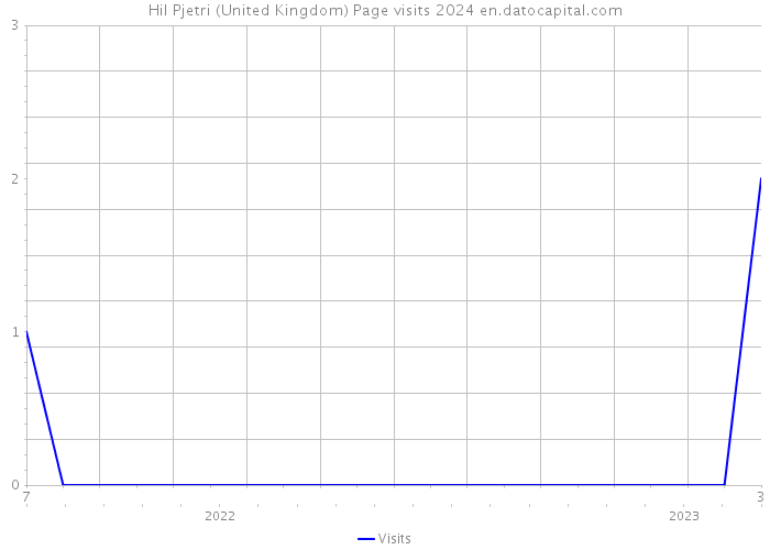 Hil Pjetri (United Kingdom) Page visits 2024 