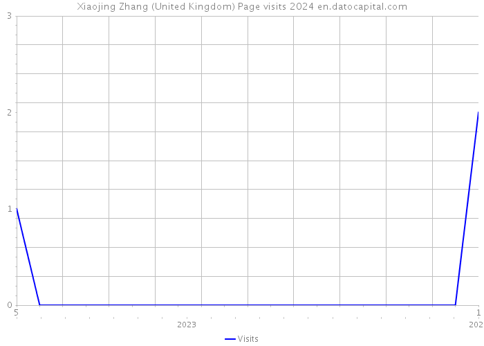 Xiaojing Zhang (United Kingdom) Page visits 2024 