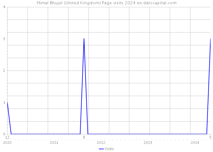 Himal Bhujel (United Kingdom) Page visits 2024 