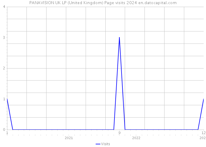 PANAVISION UK LP (United Kingdom) Page visits 2024 