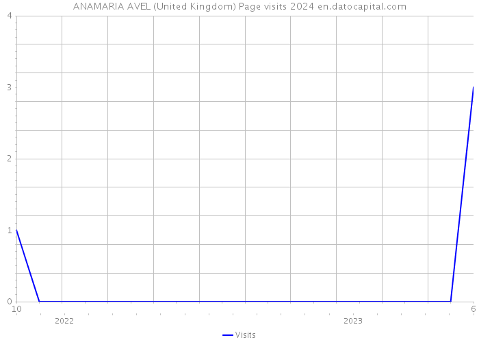 ANAMARIA AVEL (United Kingdom) Page visits 2024 