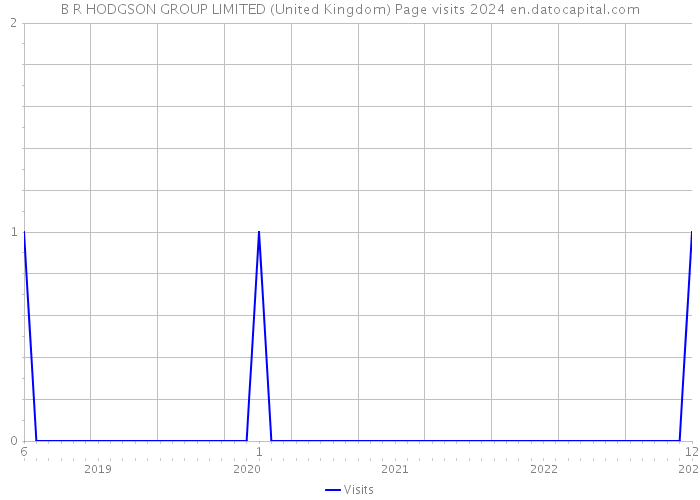 B R HODGSON GROUP LIMITED (United Kingdom) Page visits 2024 