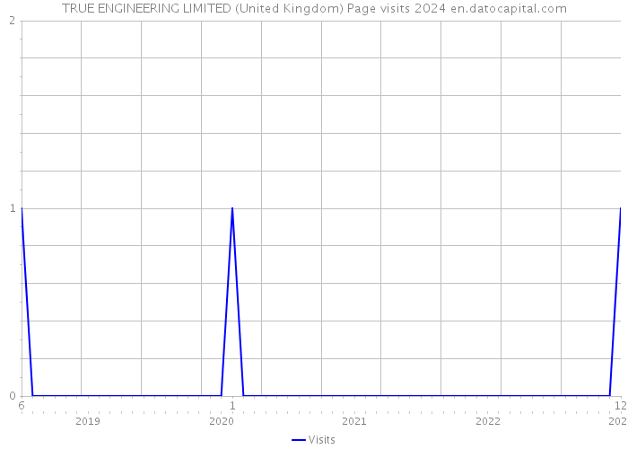 TRUE ENGINEERING LIMITED (United Kingdom) Page visits 2024 