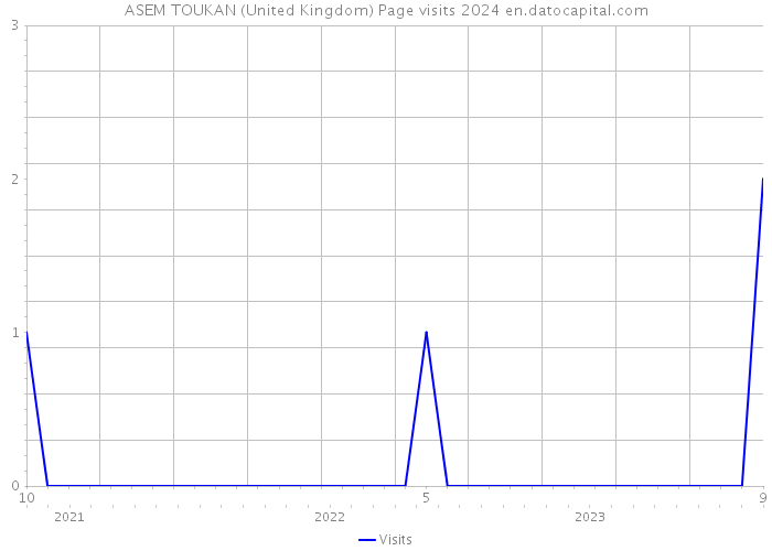 ASEM TOUKAN (United Kingdom) Page visits 2024 