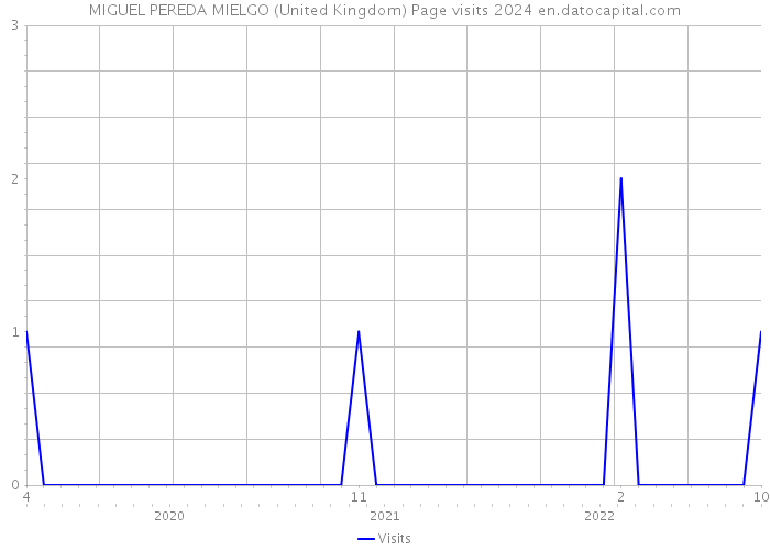 MIGUEL PEREDA MIELGO (United Kingdom) Page visits 2024 