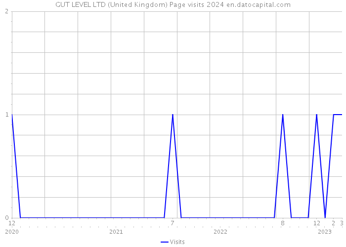 GUT LEVEL LTD (United Kingdom) Page visits 2024 