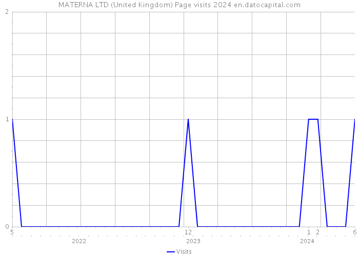 MATERNA LTD (United Kingdom) Page visits 2024 
