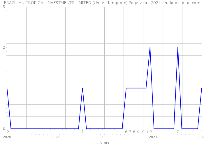 BRAZILIAN TROPICAL INVESTMENTS LIMITED (United Kingdom) Page visits 2024 
