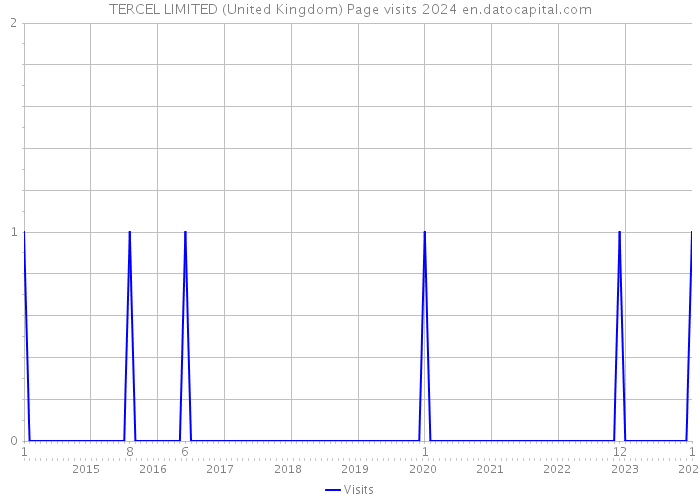 TERCEL LIMITED (United Kingdom) Page visits 2024 
