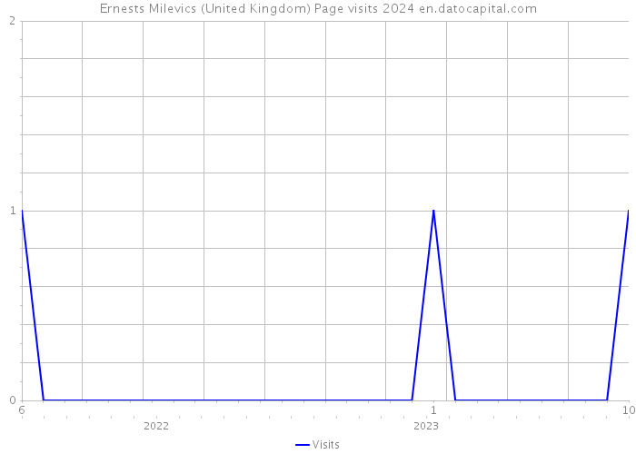 Ernests Milevics (United Kingdom) Page visits 2024 