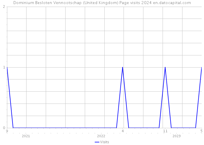 Dominium Besloten Vennootschap (United Kingdom) Page visits 2024 
