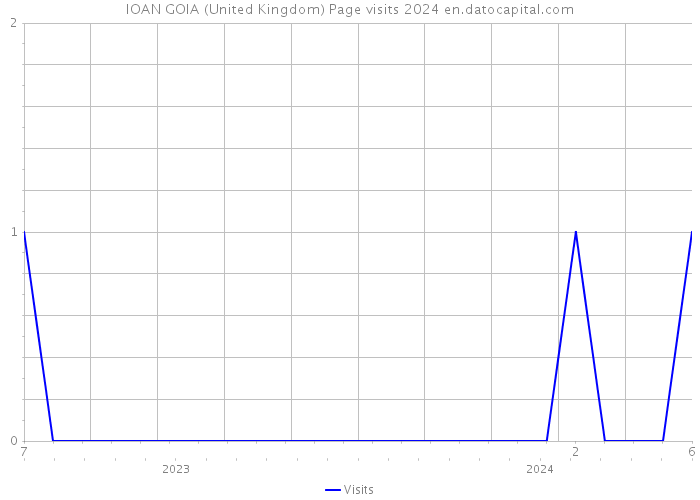 IOAN GOIA (United Kingdom) Page visits 2024 