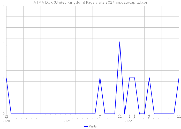 FATMA DUR (United Kingdom) Page visits 2024 