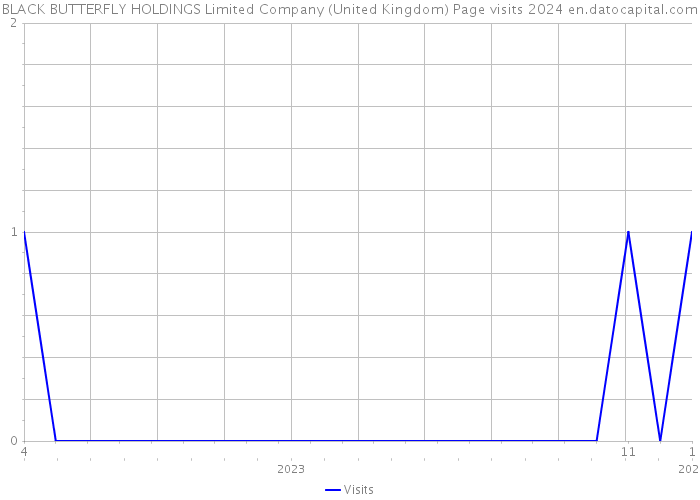 BLACK BUTTERFLY HOLDINGS Limited Company (United Kingdom) Page visits 2024 