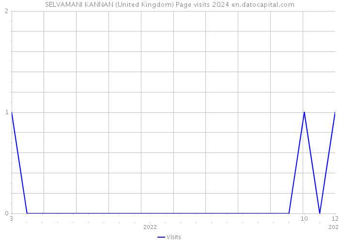 SELVAMANI KANNAN (United Kingdom) Page visits 2024 