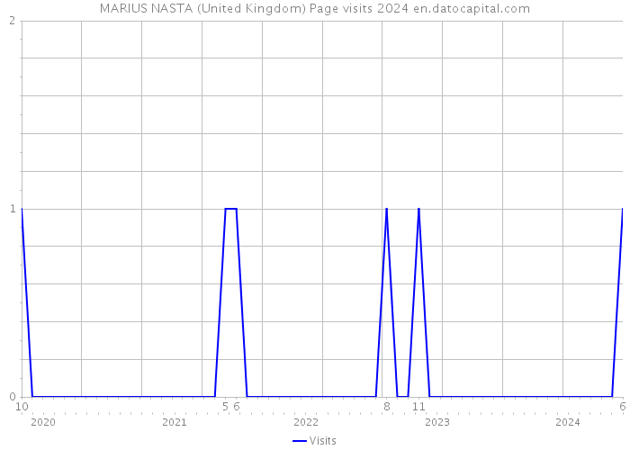 MARIUS NASTA (United Kingdom) Page visits 2024 