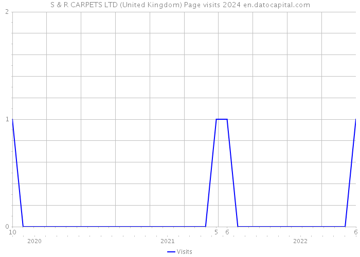 S & R CARPETS LTD (United Kingdom) Page visits 2024 