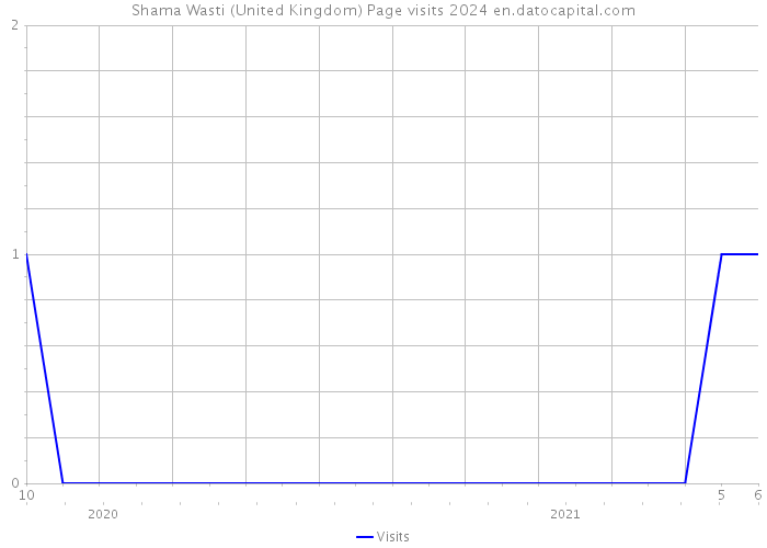 Shama Wasti (United Kingdom) Page visits 2024 