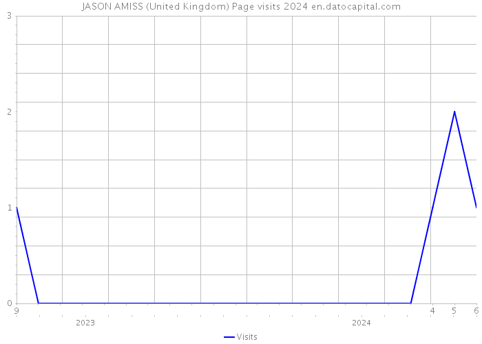 JASON AMISS (United Kingdom) Page visits 2024 