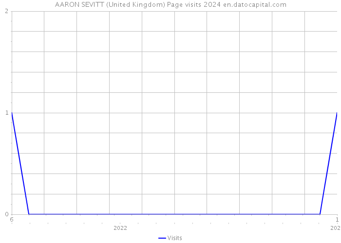 AARON SEVITT (United Kingdom) Page visits 2024 