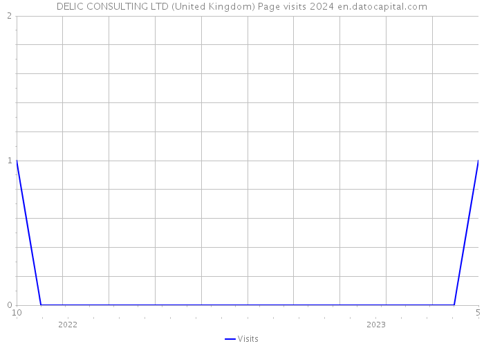 DELIC CONSULTING LTD (United Kingdom) Page visits 2024 