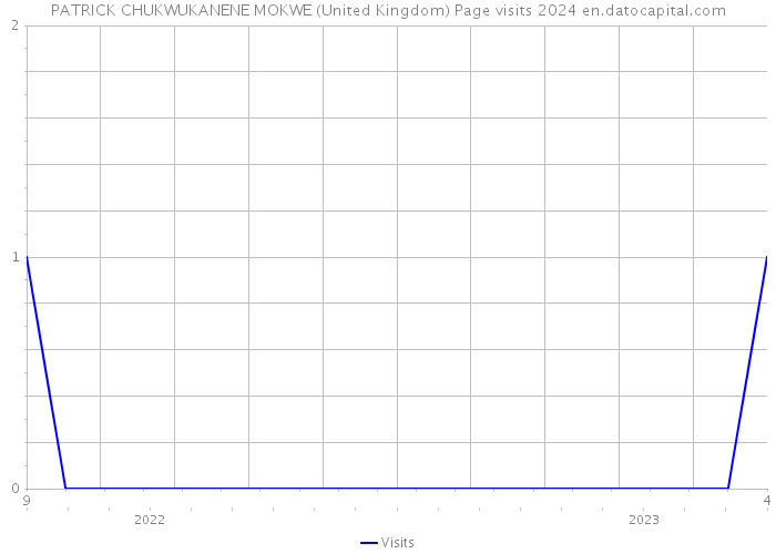 PATRICK CHUKWUKANENE MOKWE (United Kingdom) Page visits 2024 