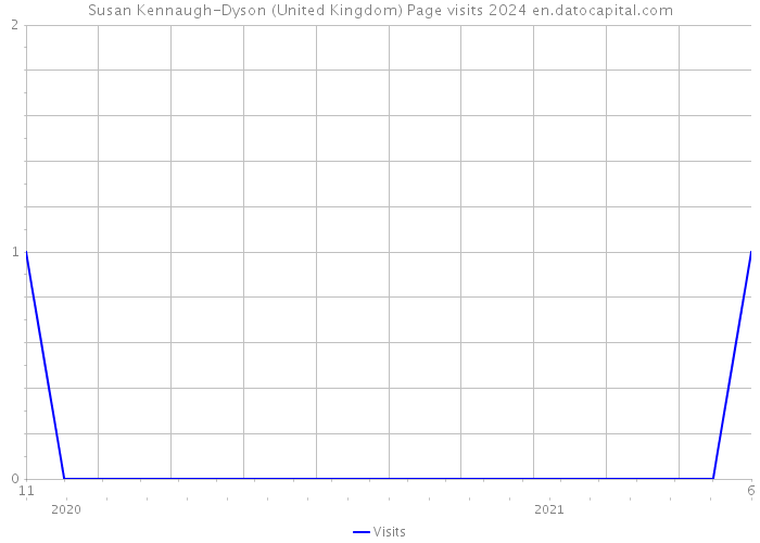 Susan Kennaugh-Dyson (United Kingdom) Page visits 2024 
