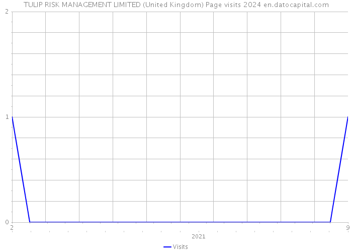 TULIP RISK MANAGEMENT LIMITED (United Kingdom) Page visits 2024 