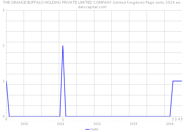 THE ORANGE BUFFALO HOLDING PRIVATE LIMITED COMPANY (United Kingdom) Page visits 2024 